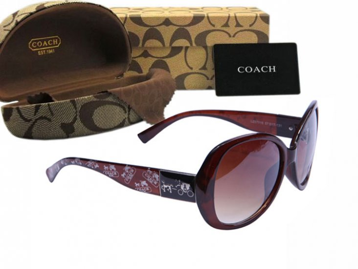 Coach Sunglasses 8013 | Women